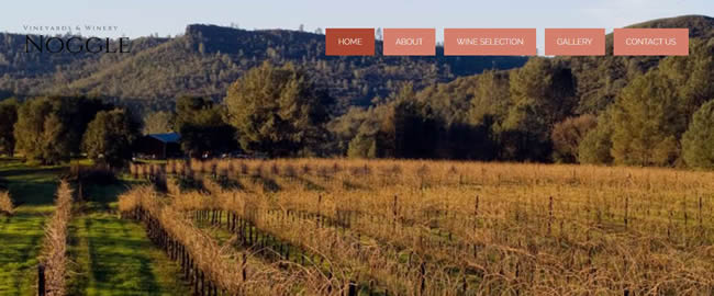 Website Designed for Noggle Vineyards and Winery